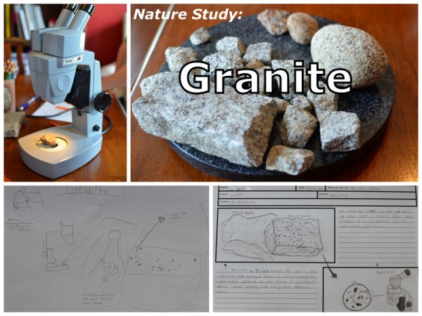 Nature Study: Granite