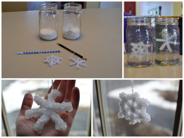 Making Borax Snowflakes