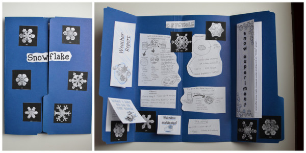 Snow Unit Lapbook