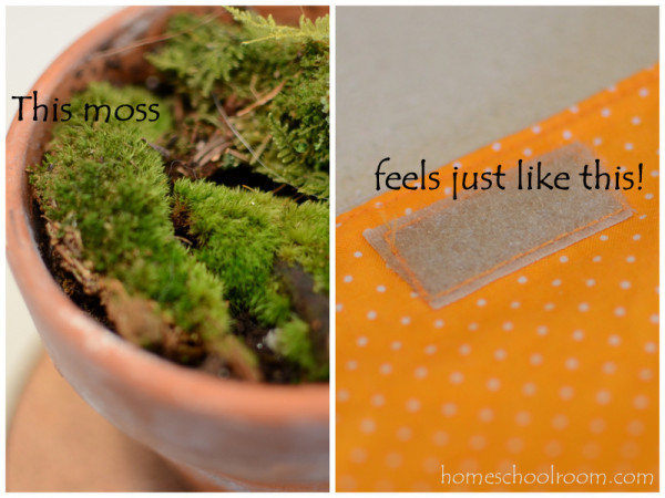 Moss Feels LIke Velcro