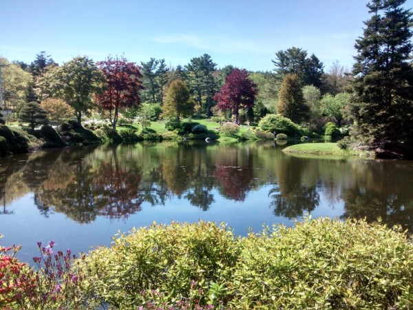 Asticou Azalea Gardens