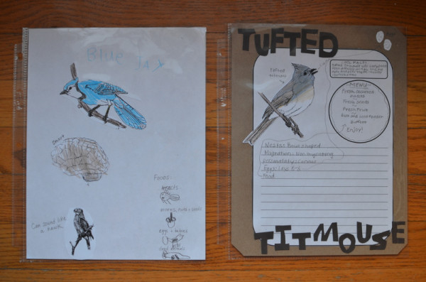 Bird Notebooking Pages