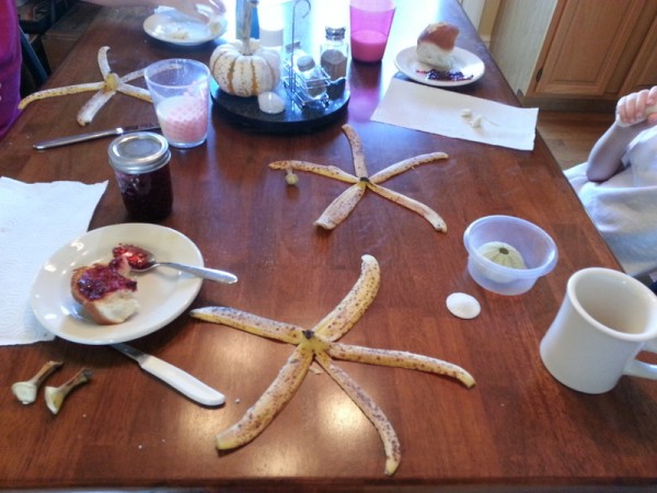 Banan Peel Echinoderms at Breakfast