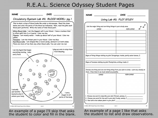 RSO Student Pages Collage