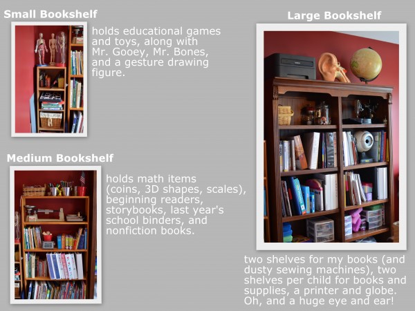 Bookshelf Collage