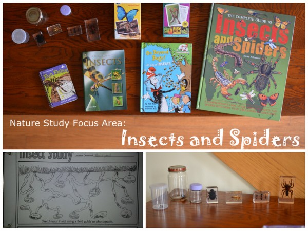 Nature Study Focus Area: Insects and Spiders