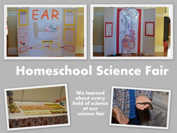 Science Fair Collage