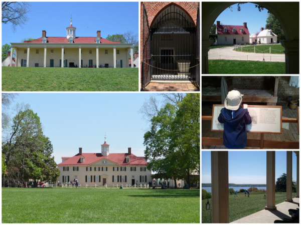 Mount Vernon with Kids