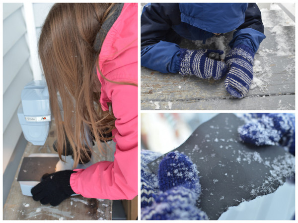 Examining Snowflakes Outside with Microscopes
