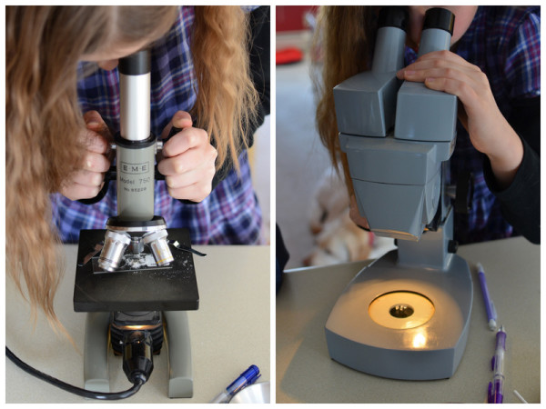 Examining Crystals with a Microscope