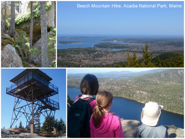 Beech Mountain Hike