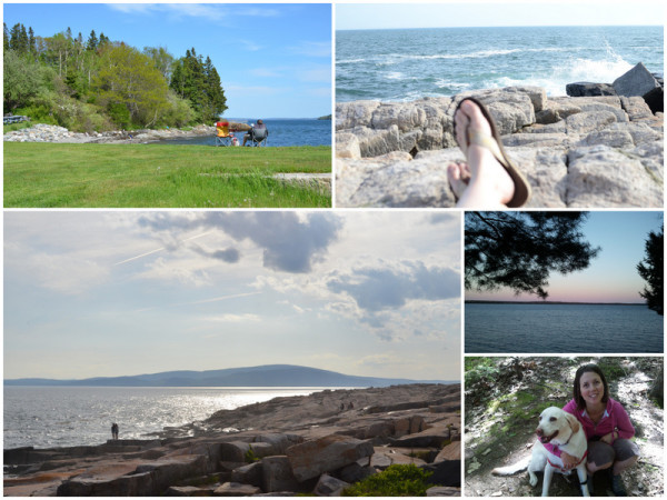 Relaxing on the Coast of Maine