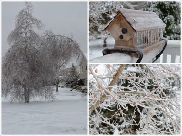 Maine Ice Storm