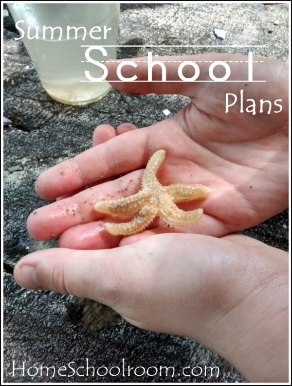 Summer School Plans 2014