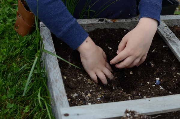 Digging in the Dirt