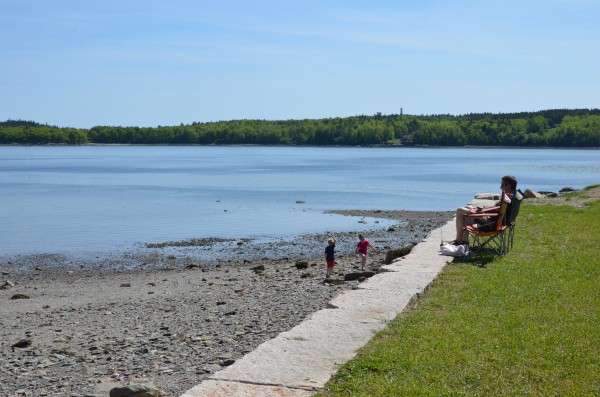 Beachcombing