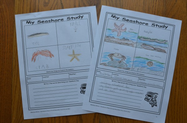 Seashore Notebooking