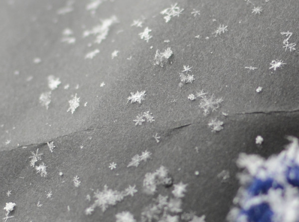 Snowflakes Up Close