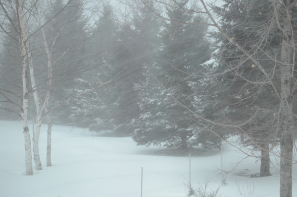 Blizzard Wind