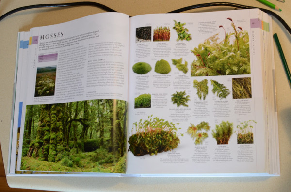 Reading About Moss