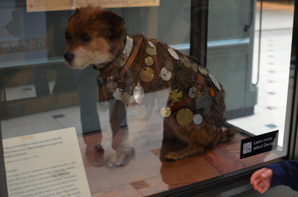 Owney at the National Postal Museum
