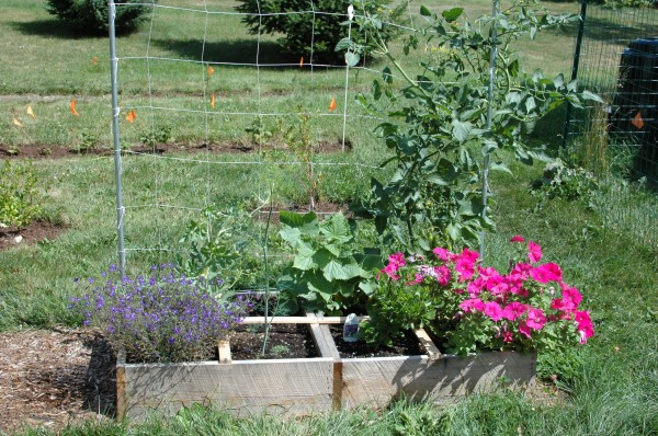Square Foot Gardens
