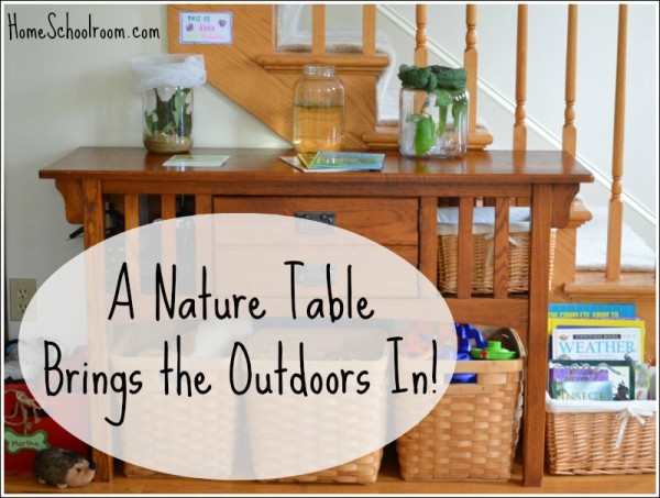 Homeschool Nature Table
