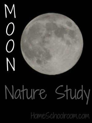 Study the Moon Phases