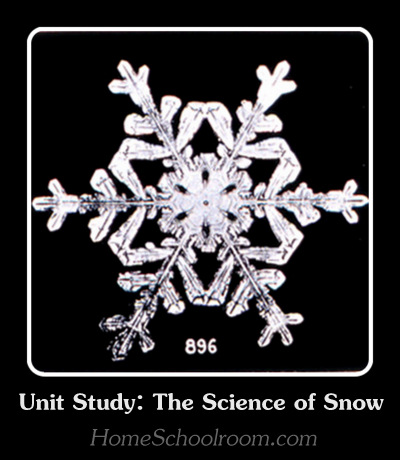 Unit Study: The Science of Snow