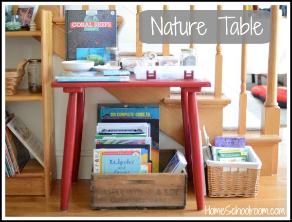 nature table