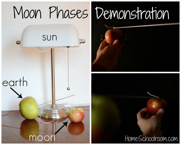 hands-on demonstration of moon phases